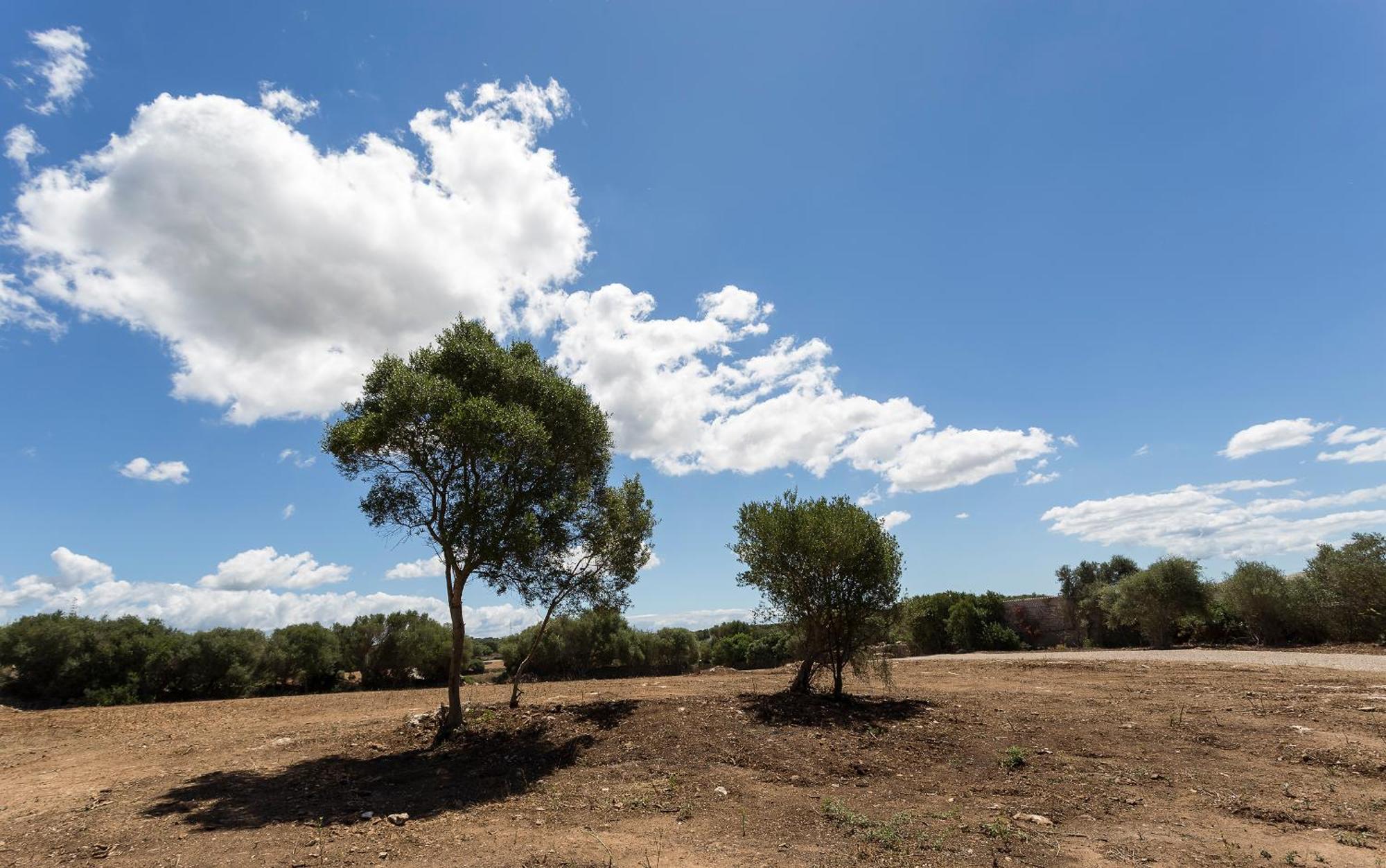 Agroturismo Santa Mariana Alaior Eksteriør billede